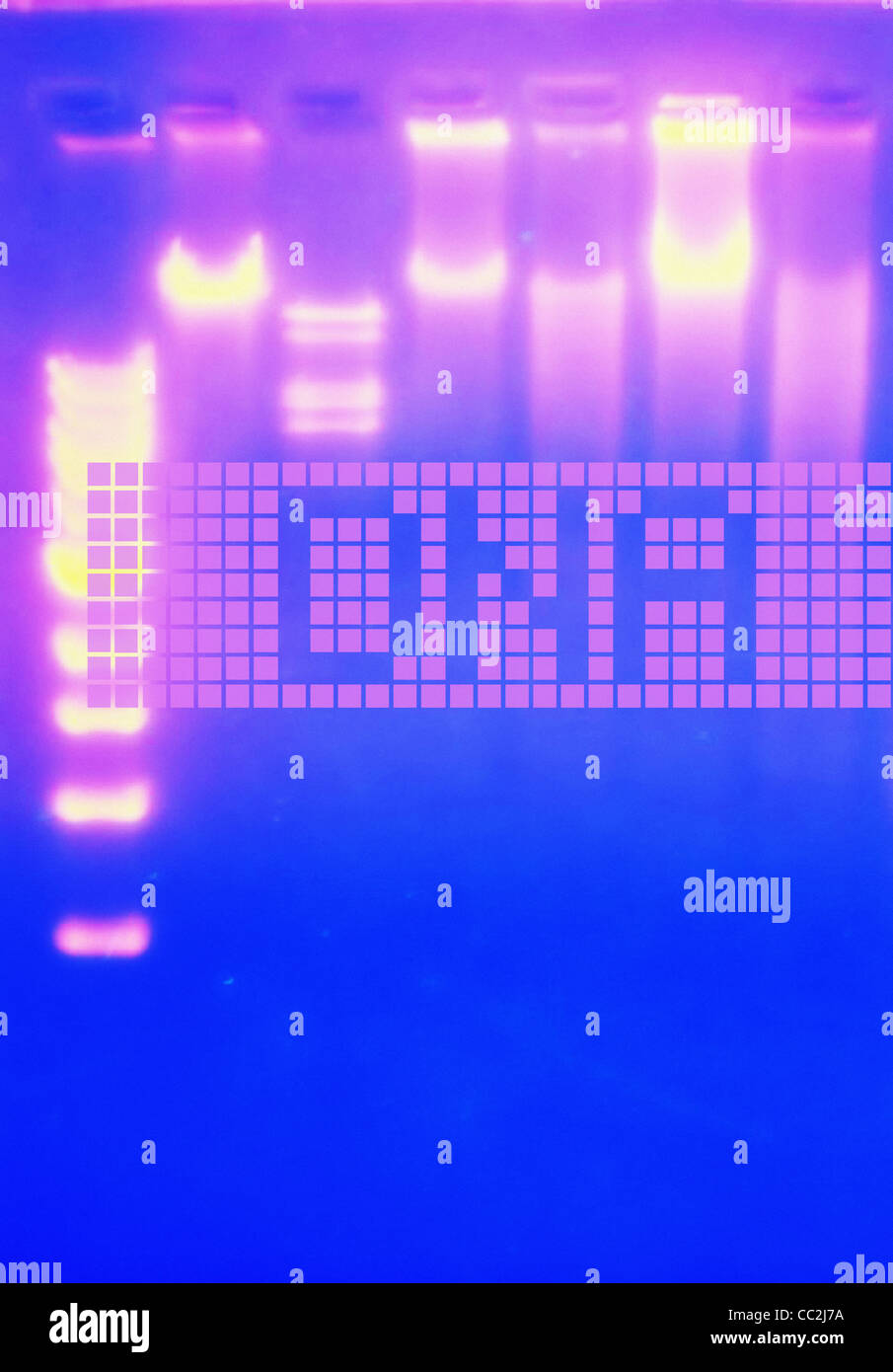 DNA-Muster, Studio gedreht Stockfoto