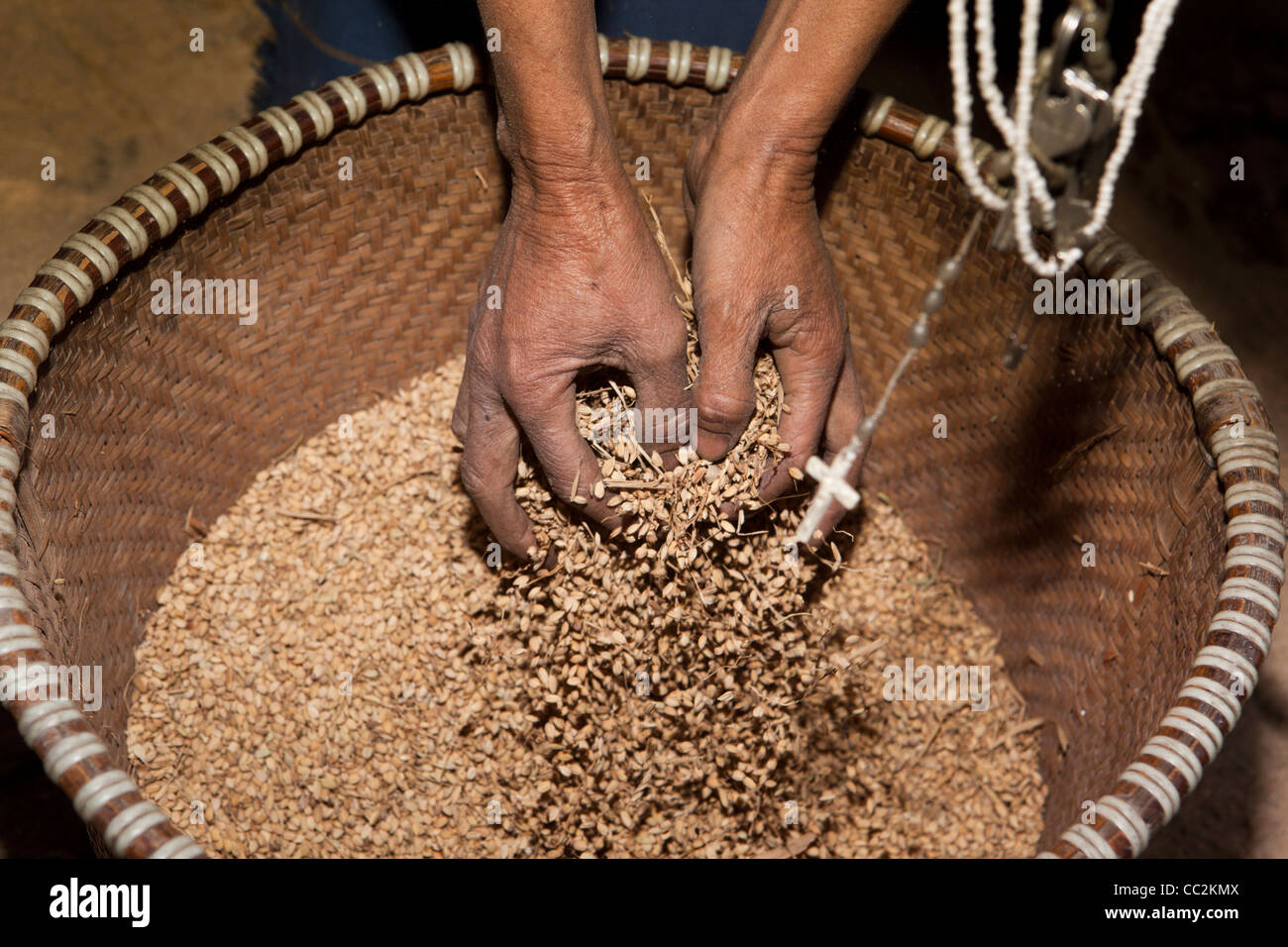 Indien, Arunachal Pradesh, Ziro Tal, Hari Dorfmühle, Hände Apatani Frau Korn Sortierung gefräst werden Stockfoto