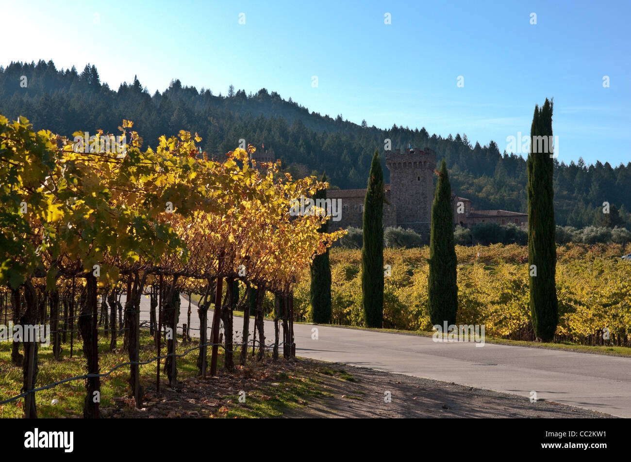 Auffahrt zum Castello di Amorosa ein italienisches Schloss Weingut im nördlichen Teil des Napa Valley in Kalifornien Stockfoto