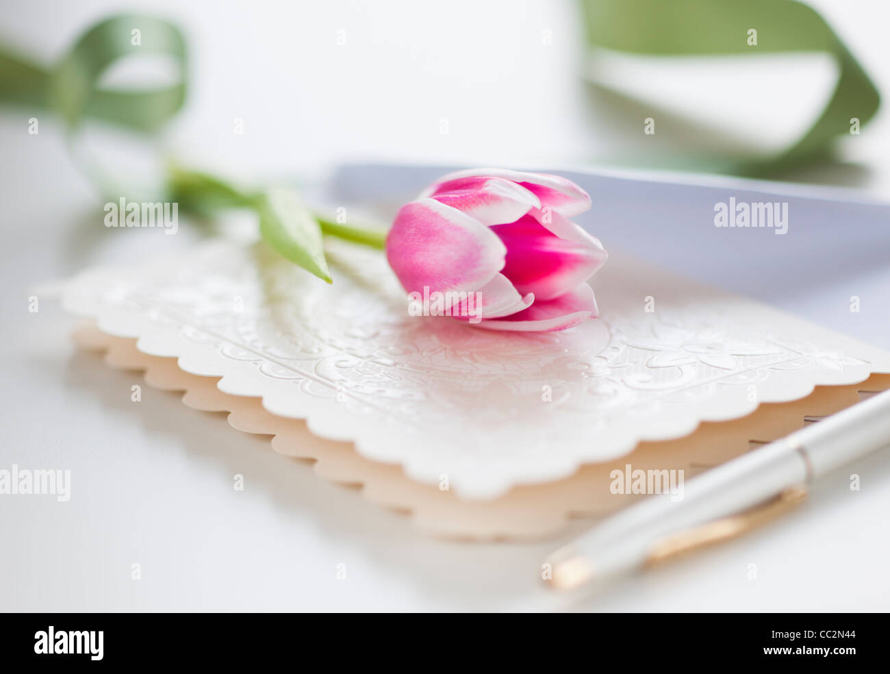 Studioaufnahme von rosa Tulpe auf Grußkarte Stockfoto