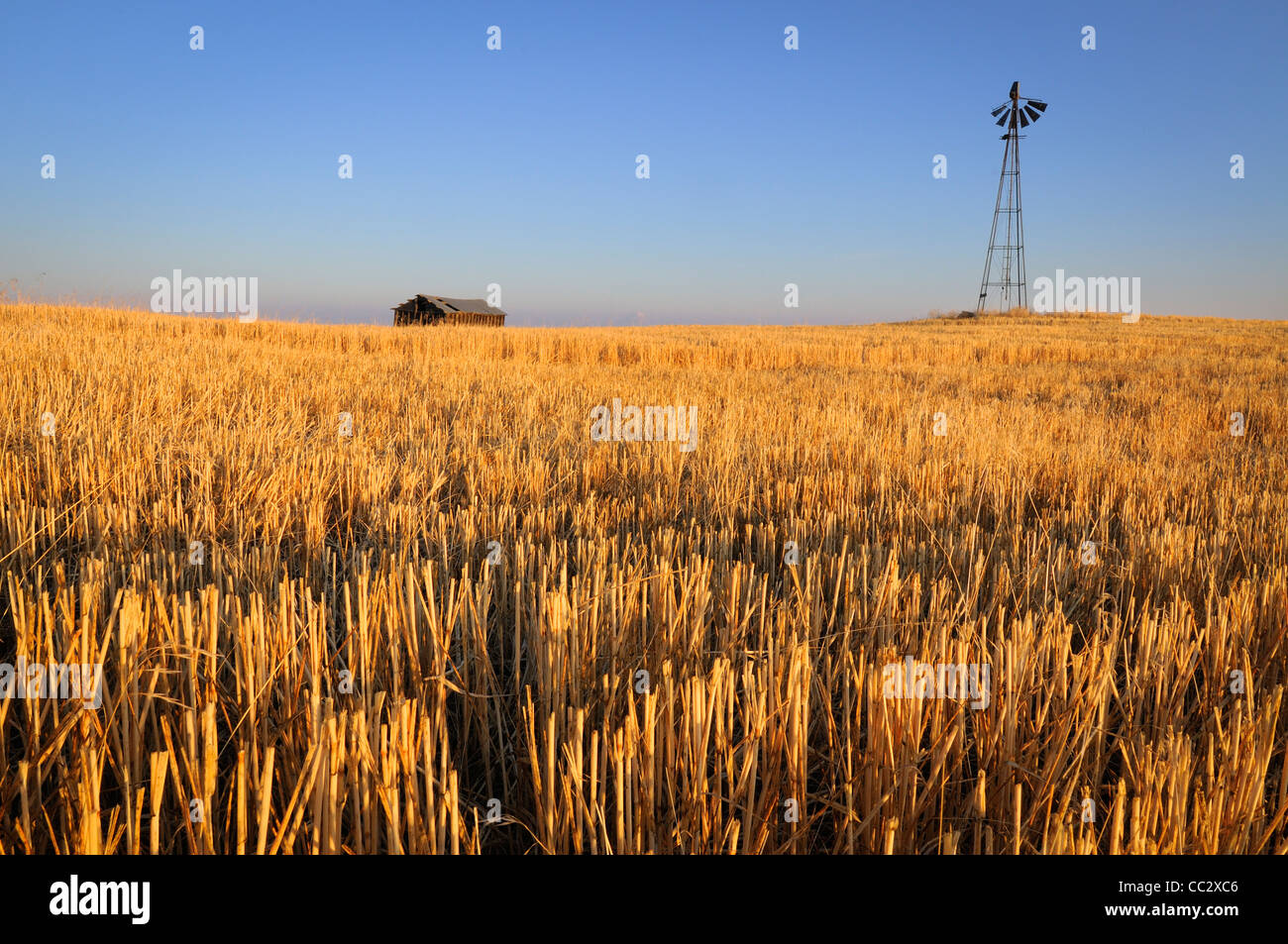 USA, Oregon, Wosco county, Ländliches Motiv mit einsamen Scheune Stockfoto