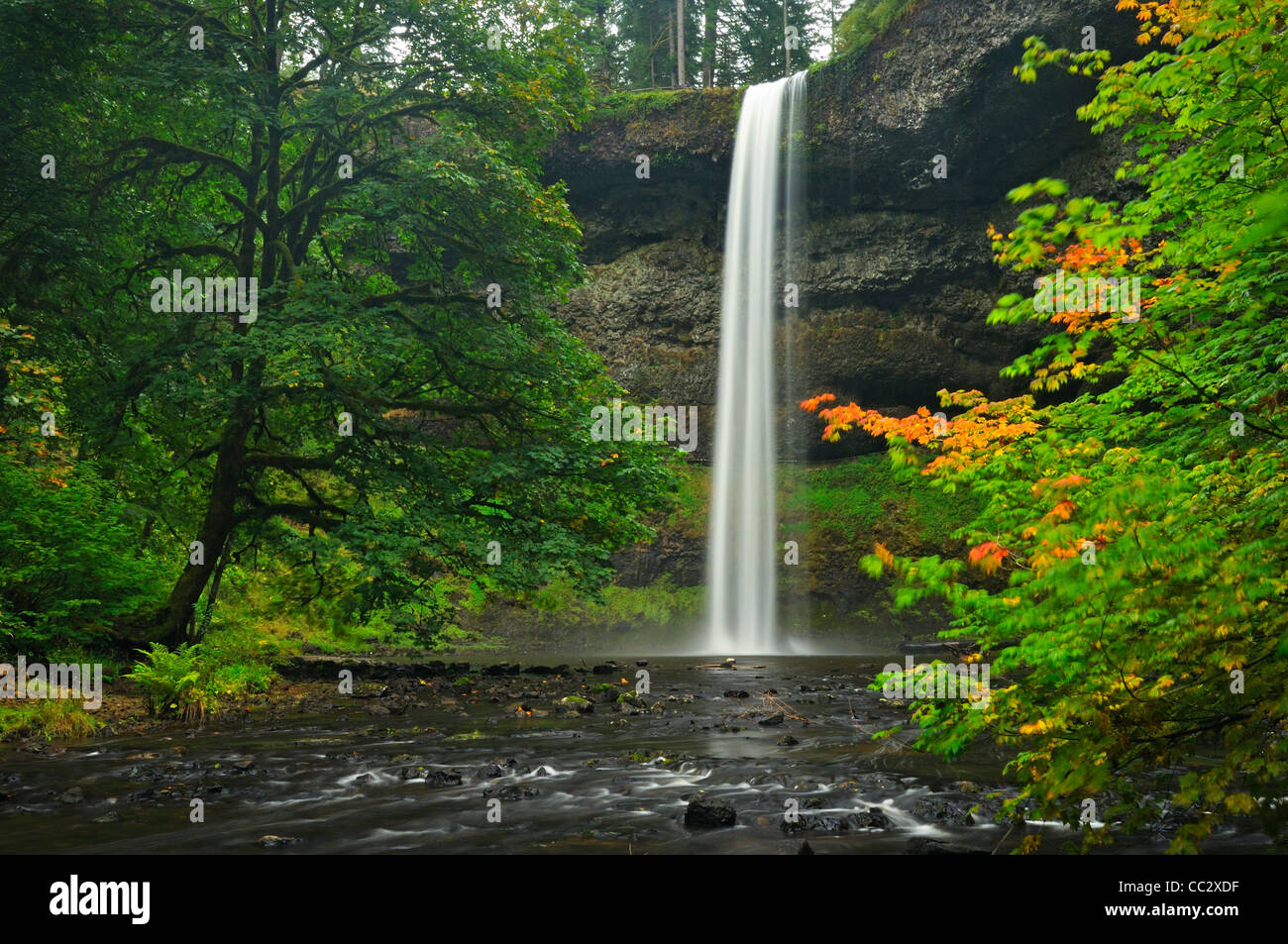 USA, Oregon, Marion County, South Falls Stockfoto