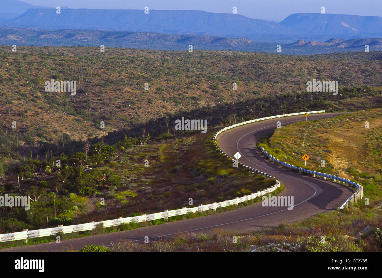 Mexiko, Baja California, Desert road Stockfoto