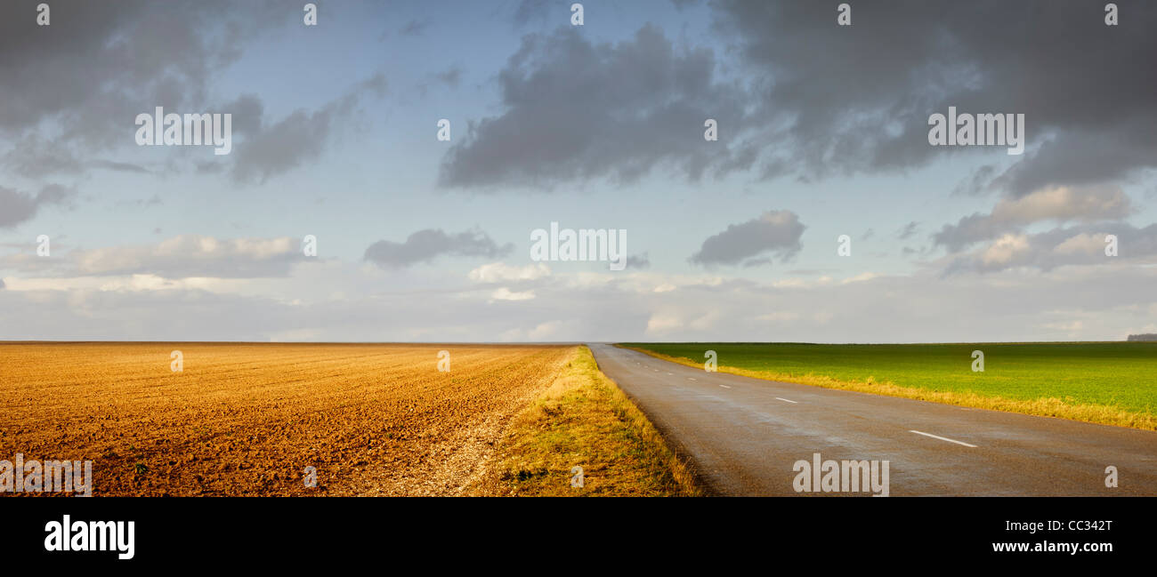 Landstraße gehen durch die Felder, Marne, Champagne Region, Frankreich Stockfoto