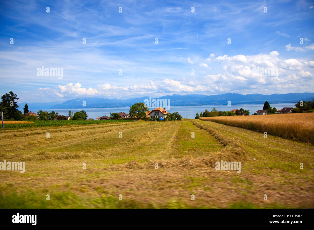 See Léman - Genfersee in der Schweiz Stockfoto