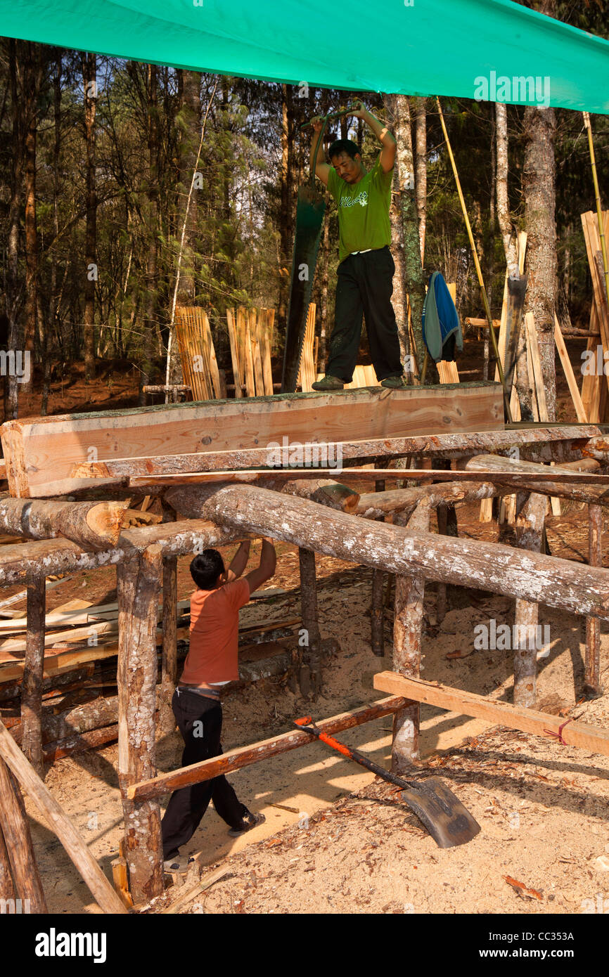 Indien, Arunachal Pradesh, Ziro Tal, Forstwirtschaft, Männer Log per hand in Bretter mit zwei Händen Grube Säge sägen Stockfoto