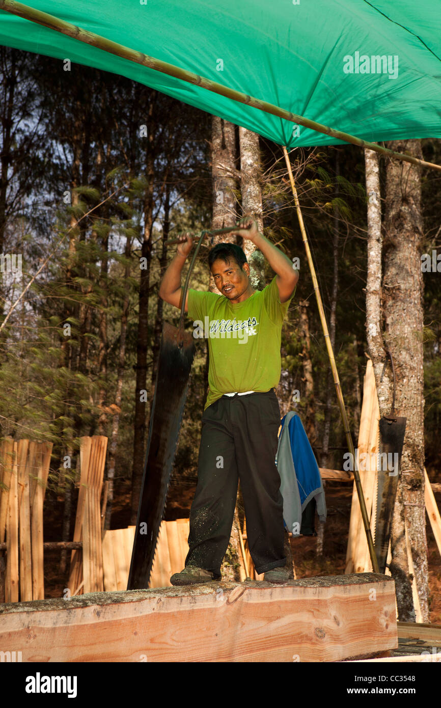 Indien, Arunachal Pradesh, Ziro Tal, Forstwirtschaft, Mann Log per hand in Bretter mit zwei Händen Grube Säge sägen Stockfoto