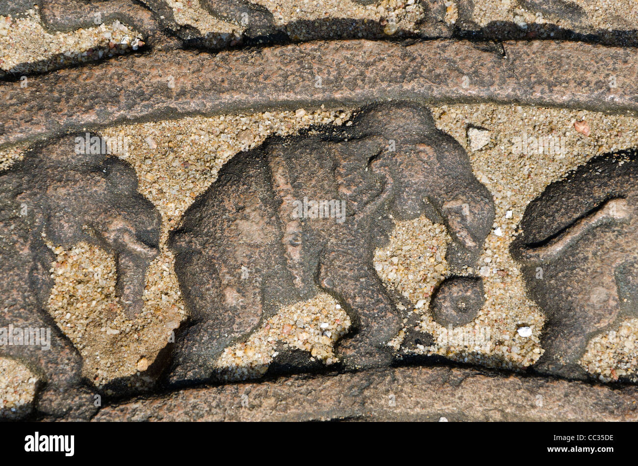 Steindekorationen auf Ruinen bei Polonnaruwa, Sri Lanka. Stockfoto