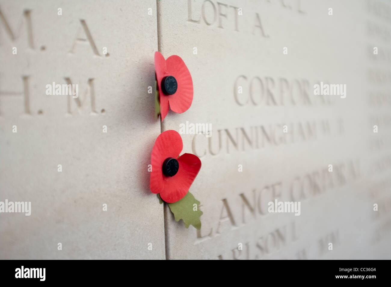 Menin Gate Memorial Mohn Flandern Ypern Stockfoto