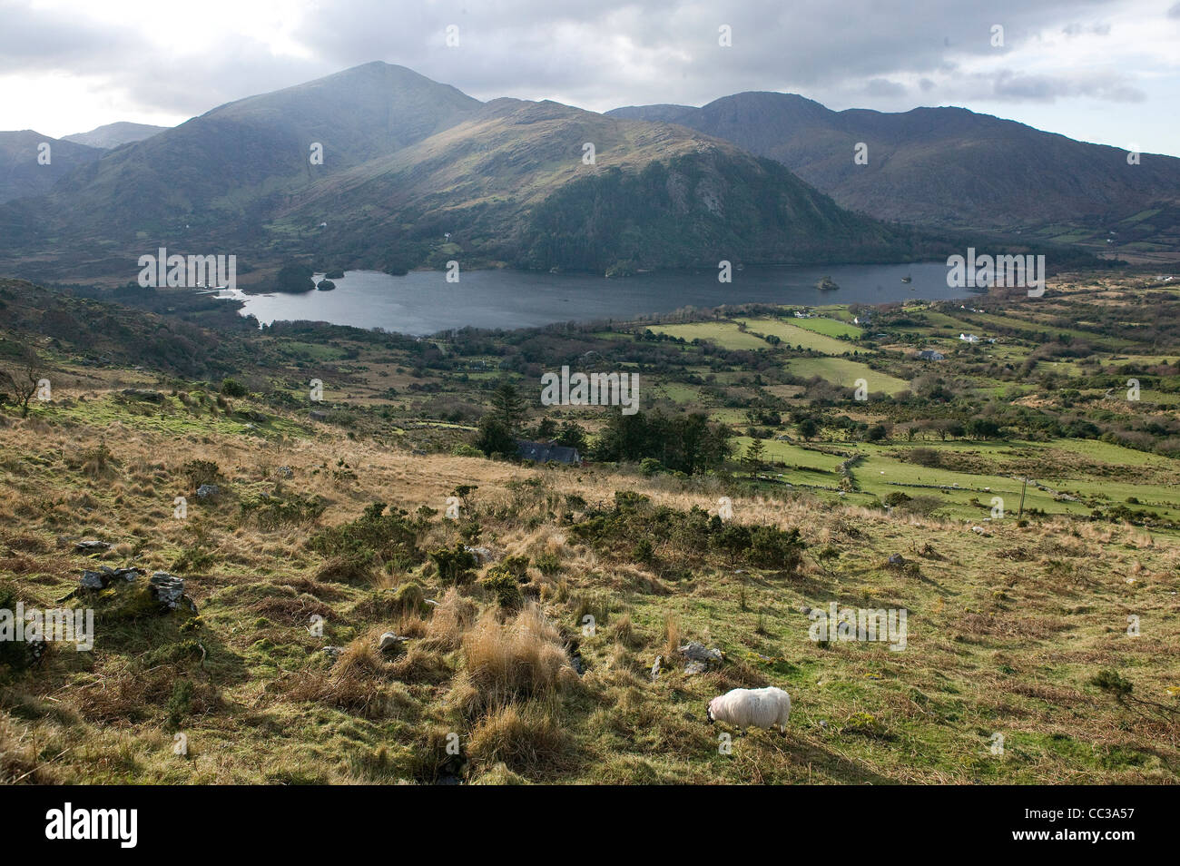 Landschaft, West Cork, Irland Stockfoto
