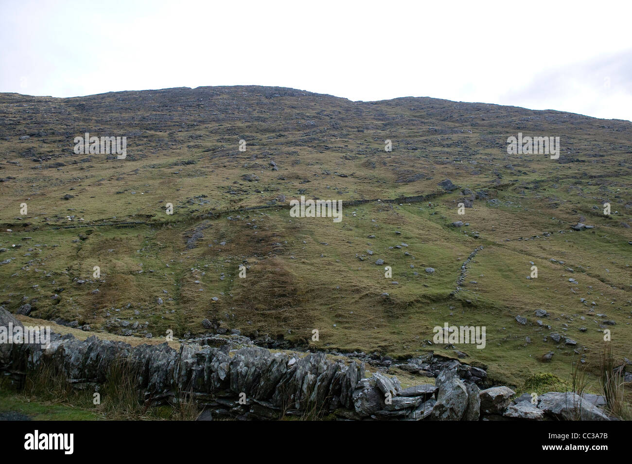 Landschaft, West Cork, Irland Stockfoto