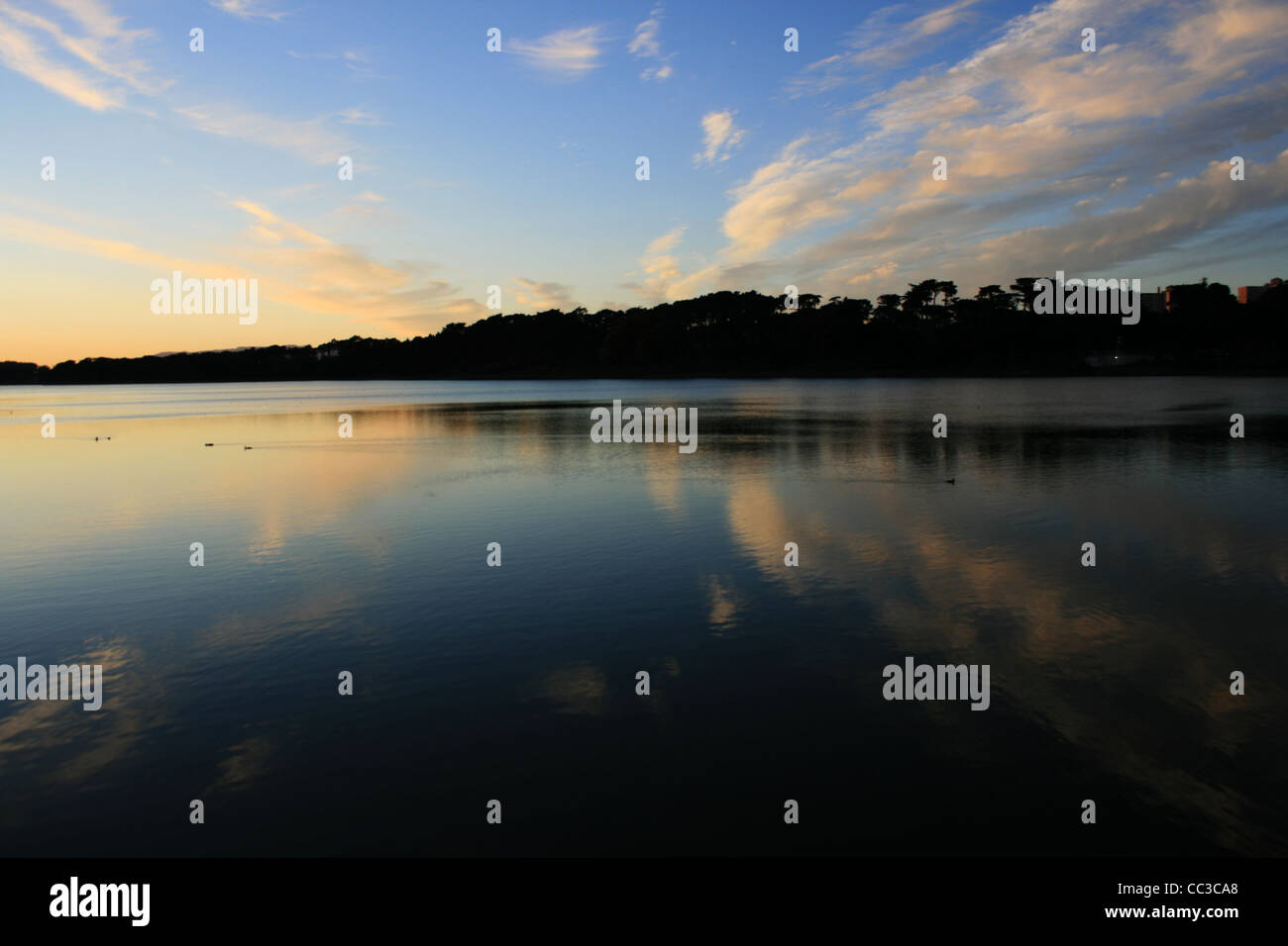 Lake Merced Stockfoto