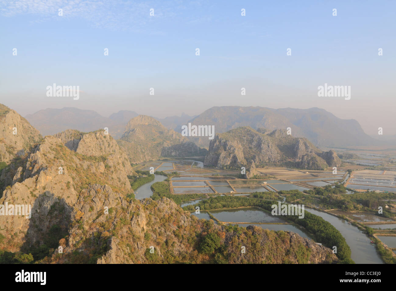 Salz, die Landwirtschaft in thailand Stockfoto