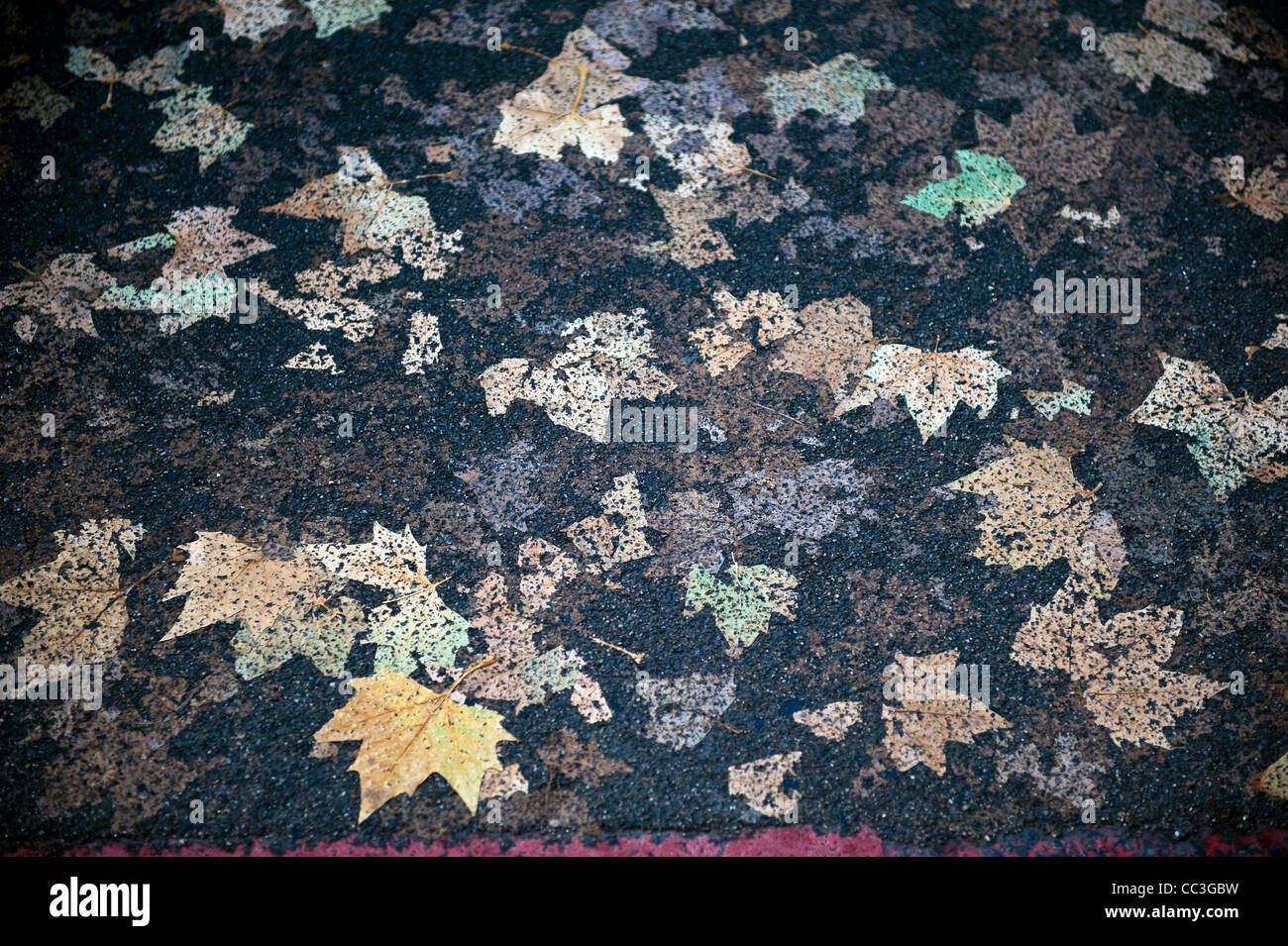 Herbstlaub gedrückt in Asphalt durch Fahrzeuge, die Erstellung von abstrakten Mustern Stockfoto