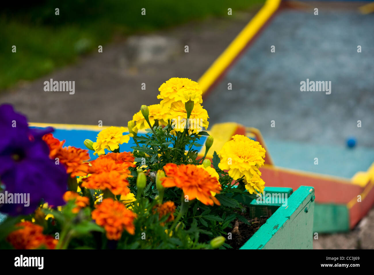 Blumen und Minigolfplatz Stockfoto