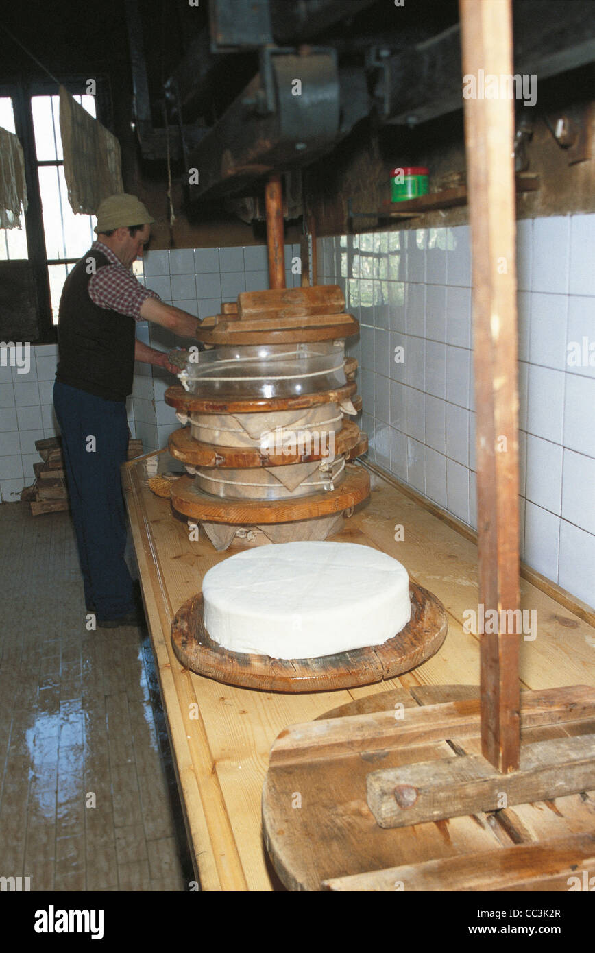 Valle d ' Aosta. Arbeiten Fontina-Käse In einer Käserei. Stockfoto