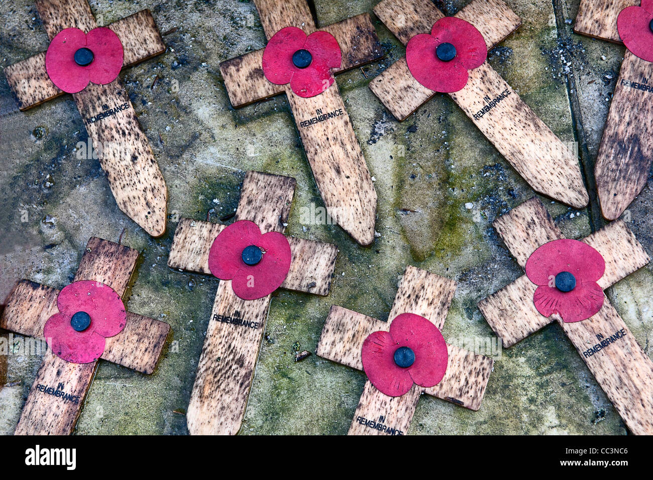 Denkmal-Mohn und Kreuze in notleidenden Zustand auf Steinsockel des Ehrenmals im Battersea Park, London SW11 Stockfoto