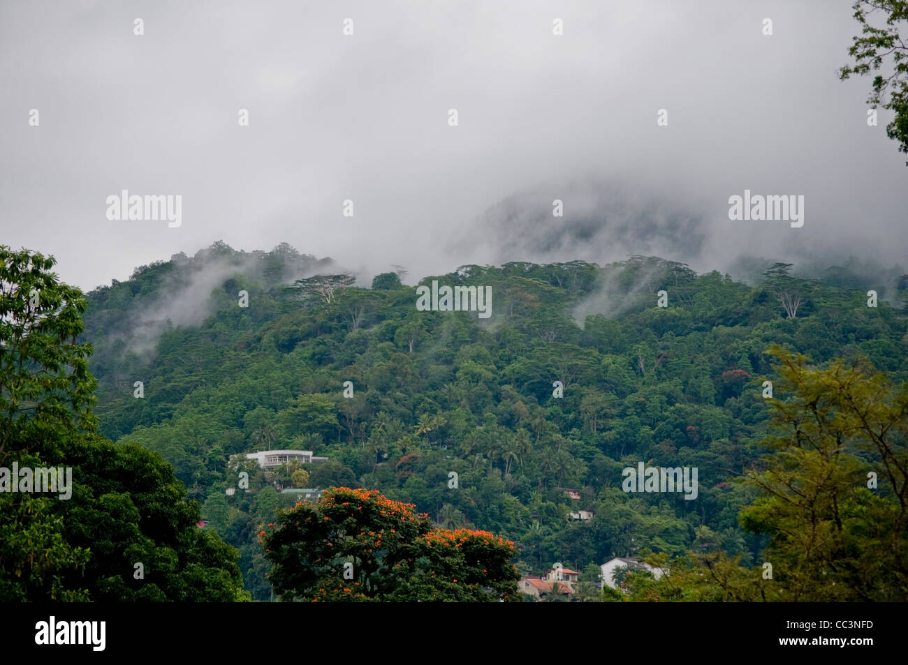 Die Wolken hängen tief über den Hügeln von Kandy (Maha Nuvara), Sri Lanka. Stockfoto