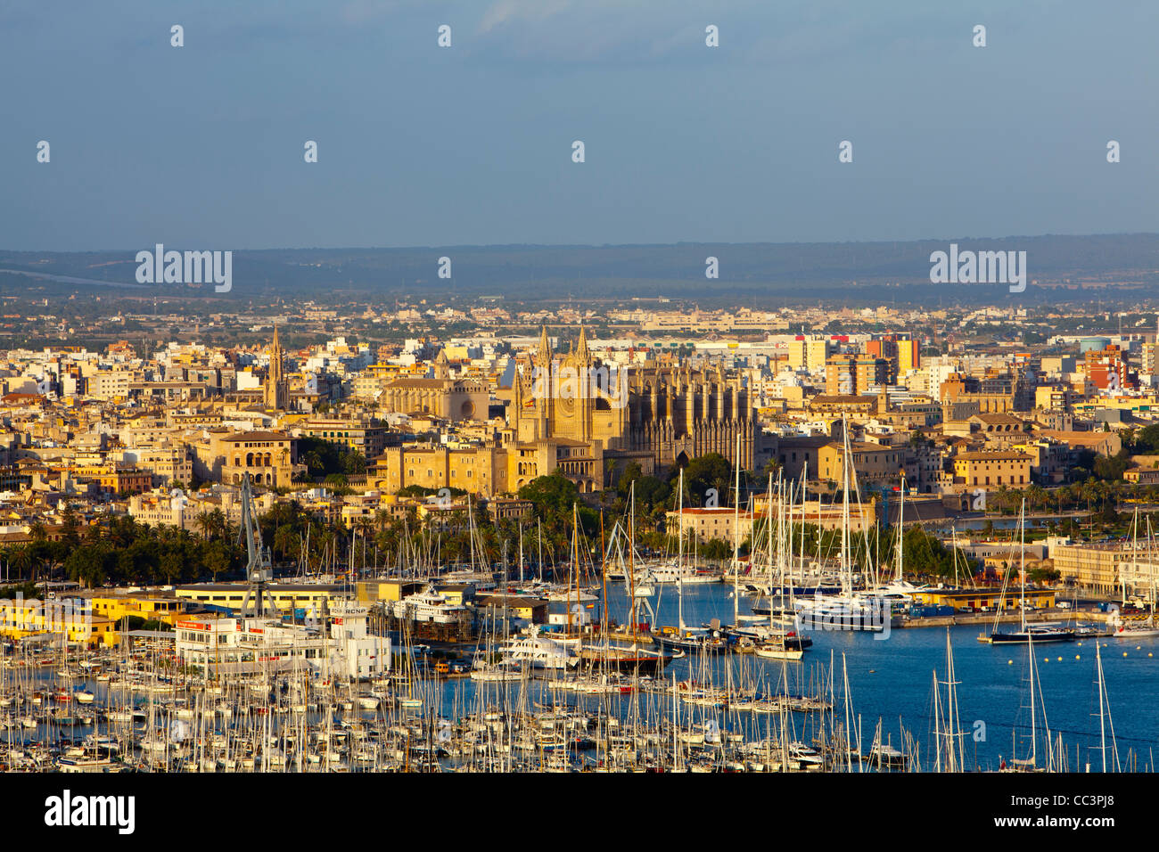 Palma De Mallorca, Mallorca, Balearen, Spanien Stockfoto