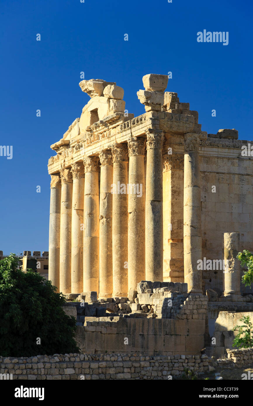 Libanon, Baalbek, Tempel des Bacchus Stockfoto