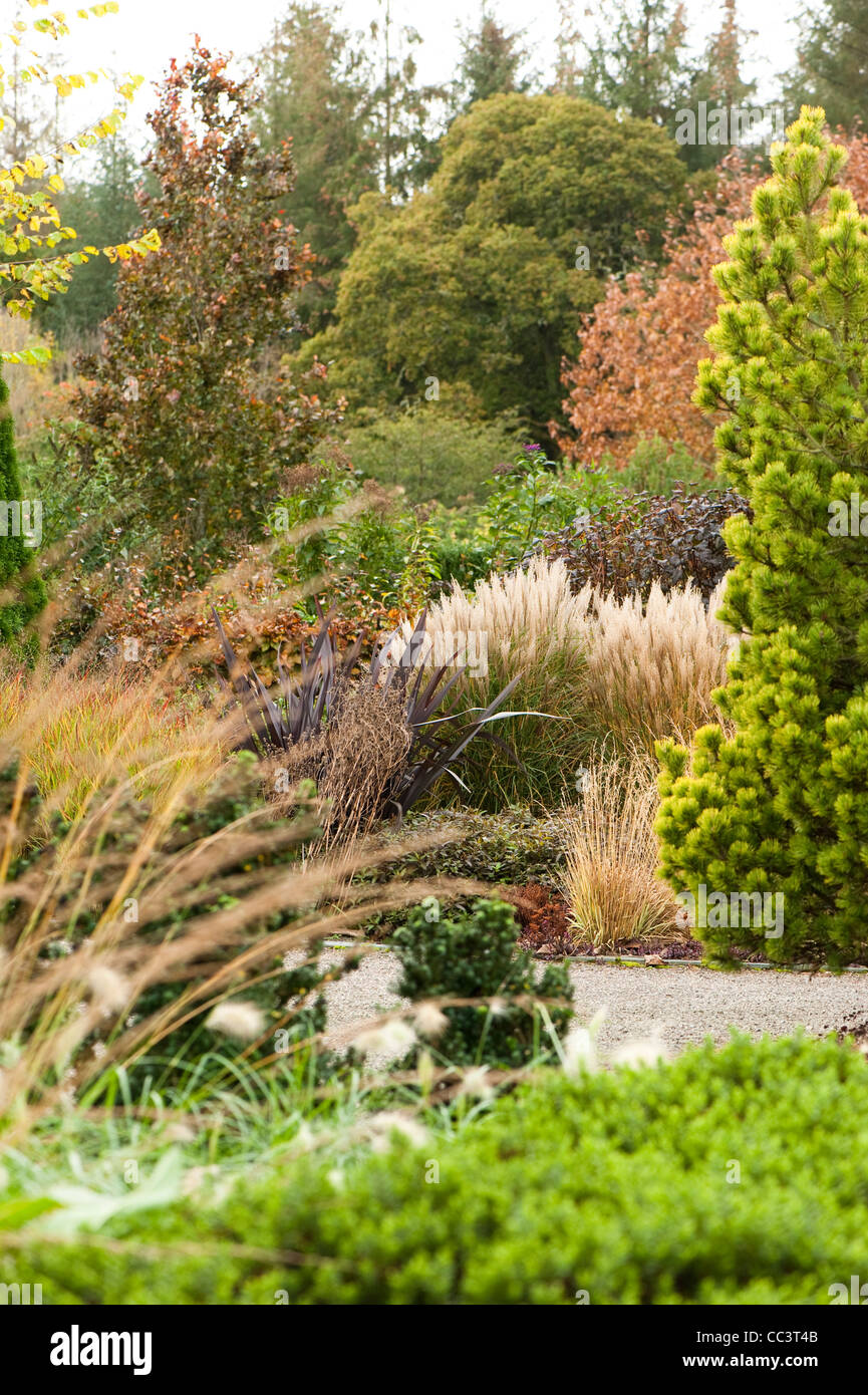 Ziergräser und andere Pflanzen in das Laub und die Plantsman Garten im Herbst, RHS Rosemoor, Devon, England, UK Stockfoto