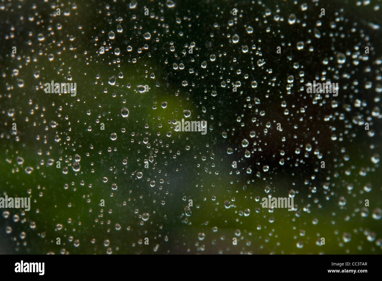 Wassertropfen auf Glasfenster Stockfoto