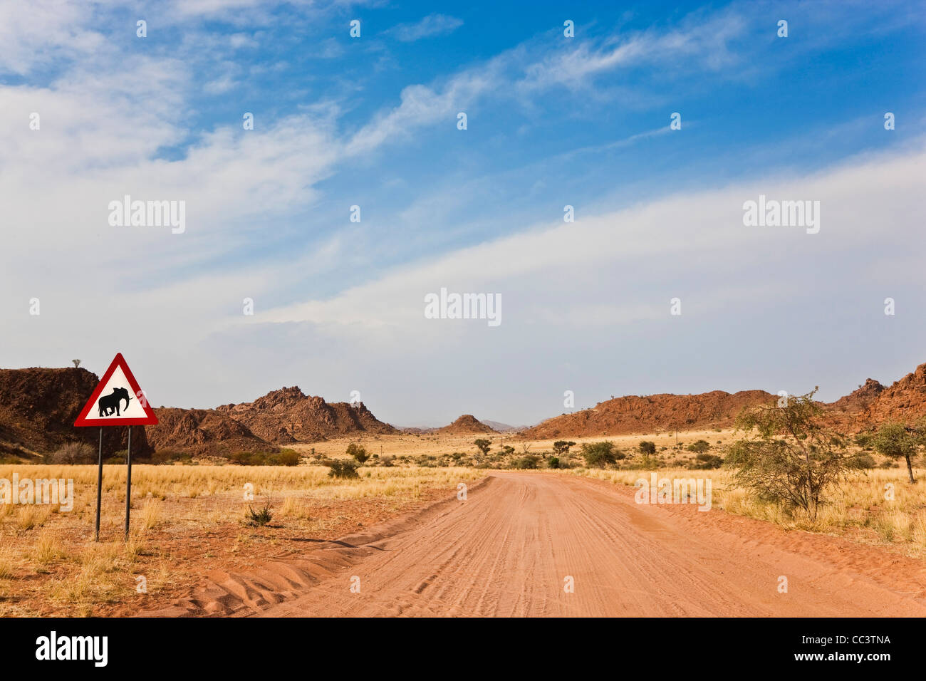 Elefant Straße Zeichen & Straße, Damaraland, Namibia Stockfoto