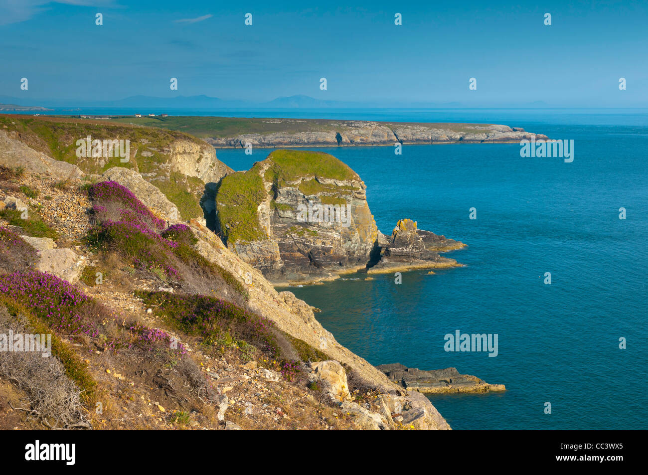 England, Wales, Anglesey, heilige Insel, in der Nähe von South Stack Lighthouse Stockfoto