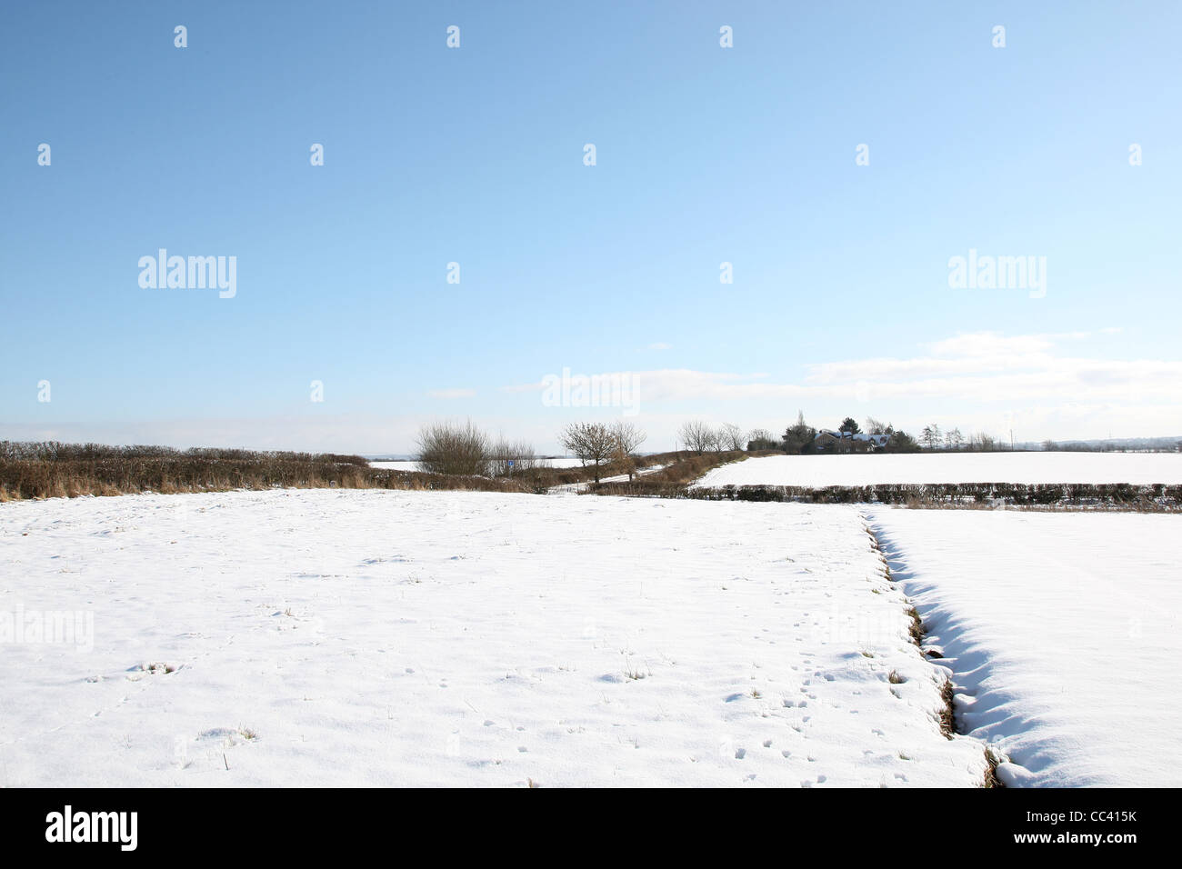 Bereiche im Schnee Cotswolds Oxfordshire Stockfoto