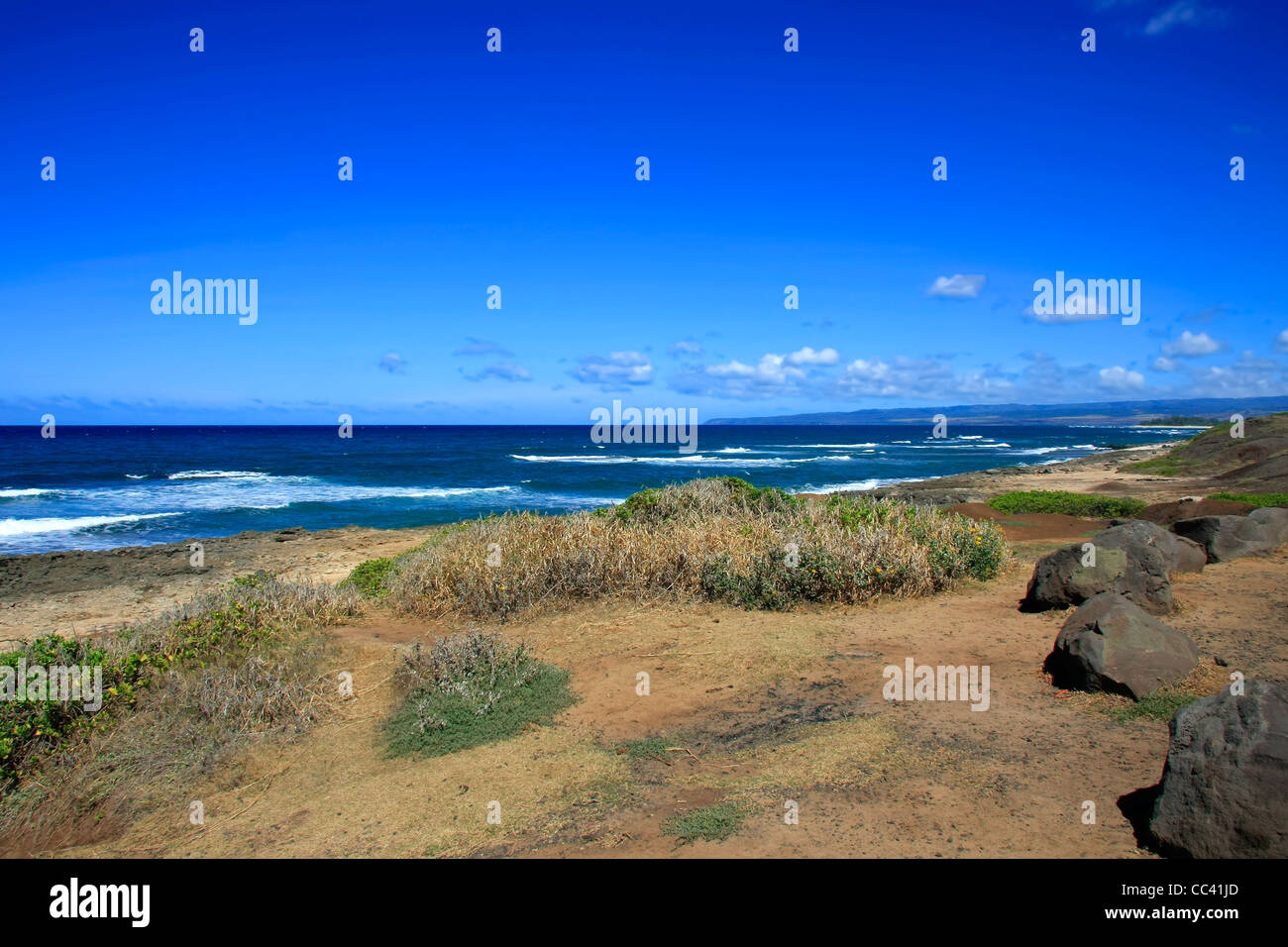 Der Hawaiianische Küste in den Pazifik Stockfoto