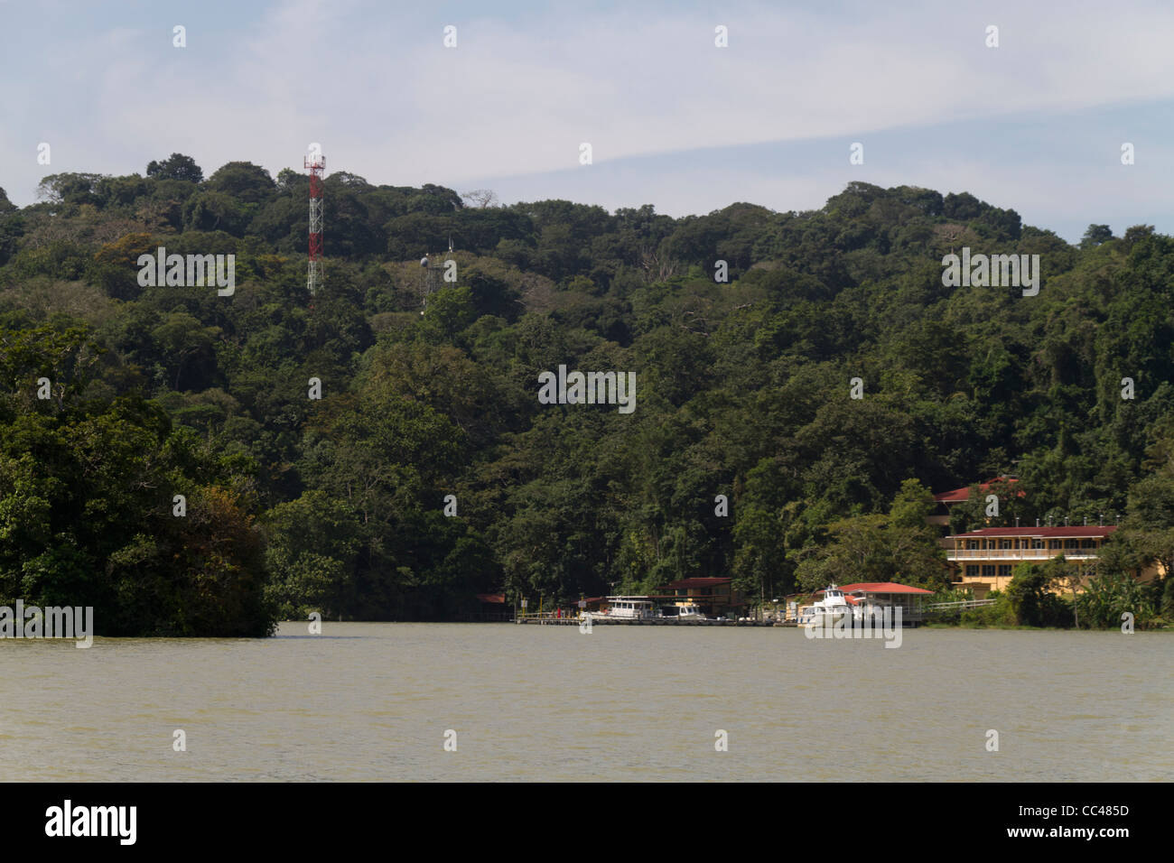 Barro Colorado Island, Gatun See, Panamakanal, Republik von Panama in Mittelamerika Stockfoto