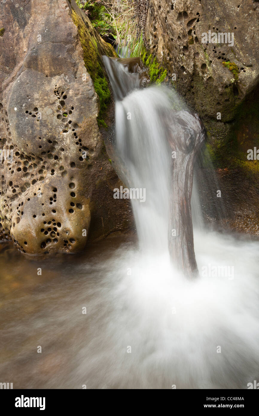 Strom des Wassers, das in den Ozean, vierte Strand auf der Olympic-Halbinsel, Washington. Stockfoto