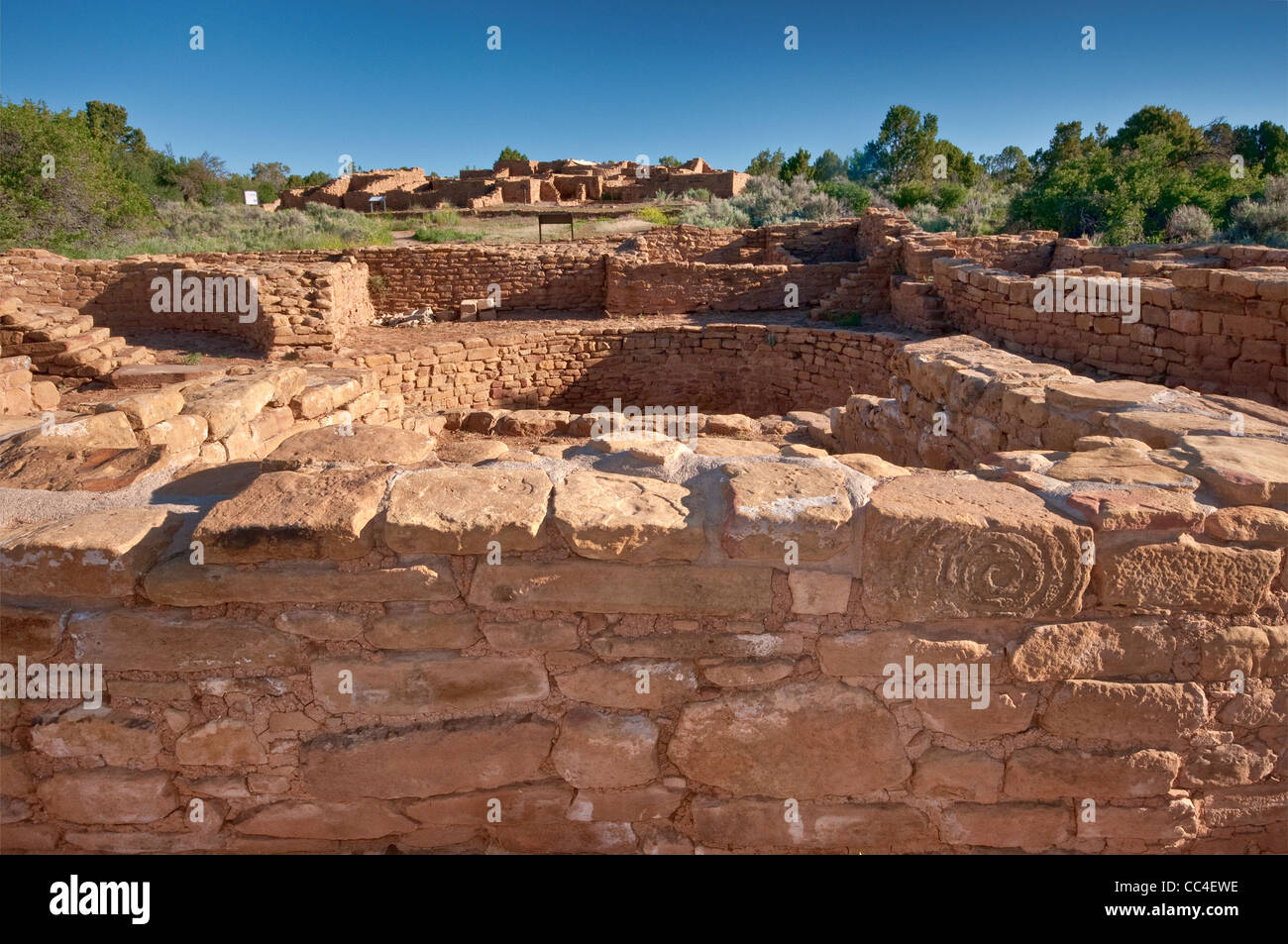 Rohr-Schrein, Haus weit Blick in Ferne, weit Ansicht Sites komplexe, Mesa Verde Nationalpark, Colorado, USA Stockfoto