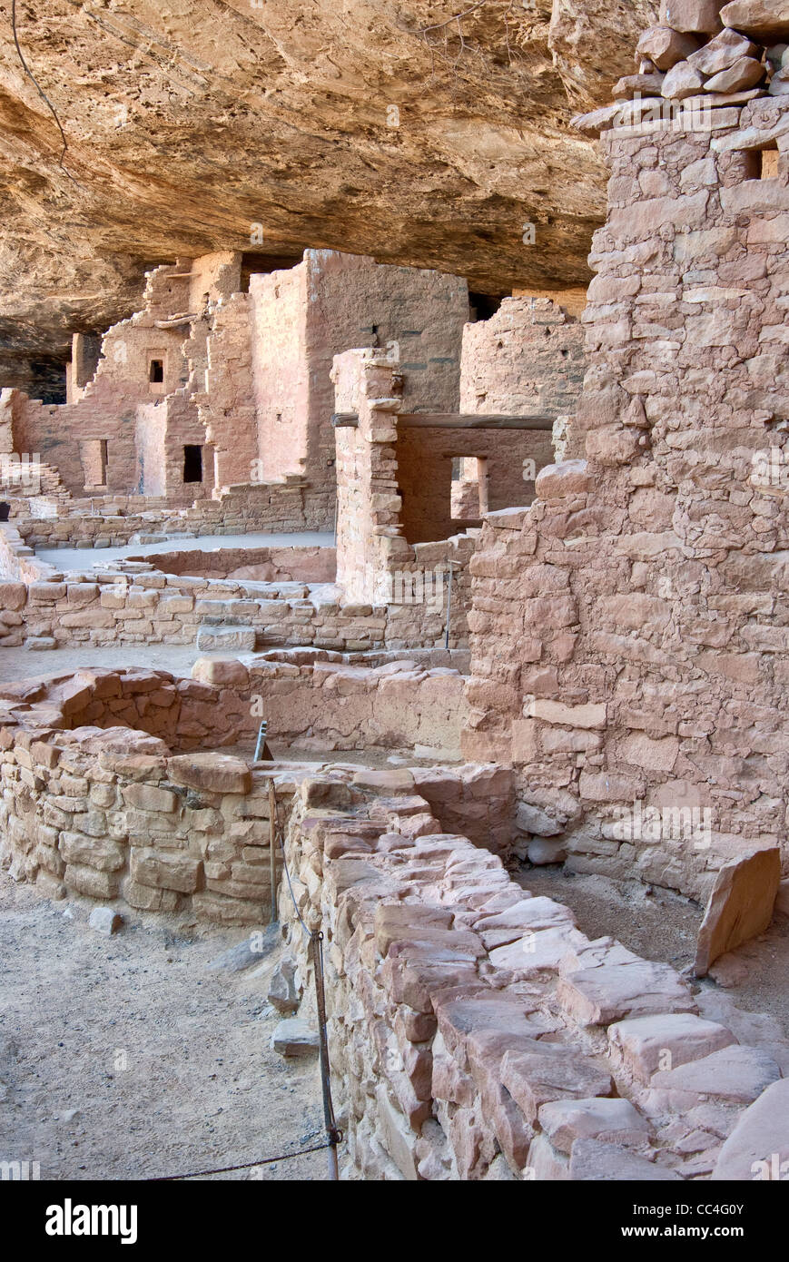 Spruce Tree House Ruinen im Alkoven im Chaplin Mesa in Mesa Verde Nationalpark, Colorado, USA Stockfoto