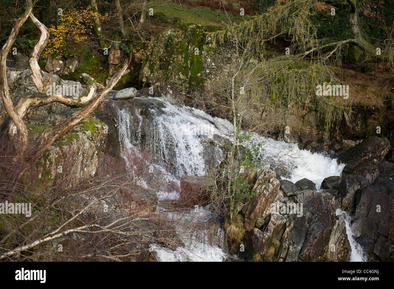 Dungeon Ghyll Kraft, Lake District, Cumbria, UK Stockfoto