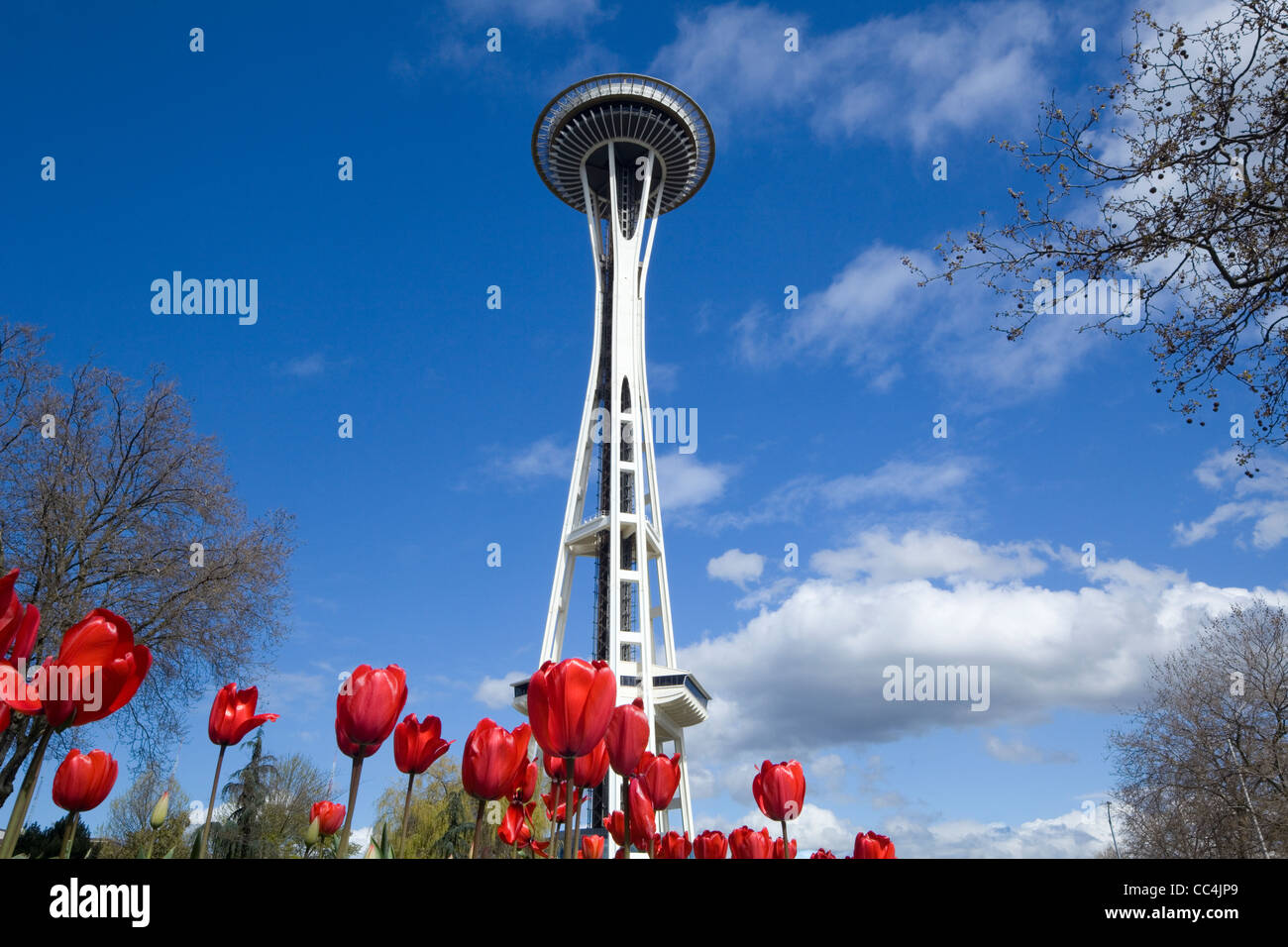WASHINGTON - Seattle Space Needle und rote Tulpen im Frühling. Stockfoto