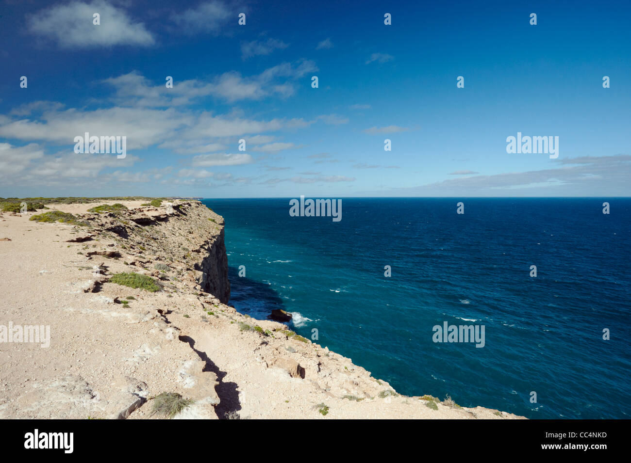 Bunda Cliffs, Great Australian Bight Marine Park, South Australia, Australien Stockfoto