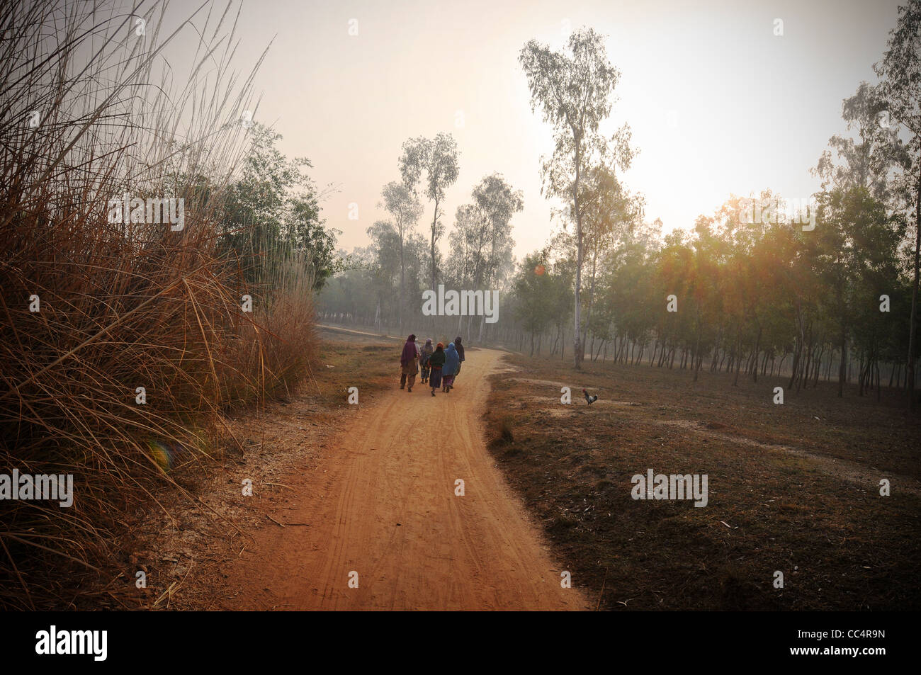 Eine Szene im ländlichen West Bengalen, Indien Stockfoto