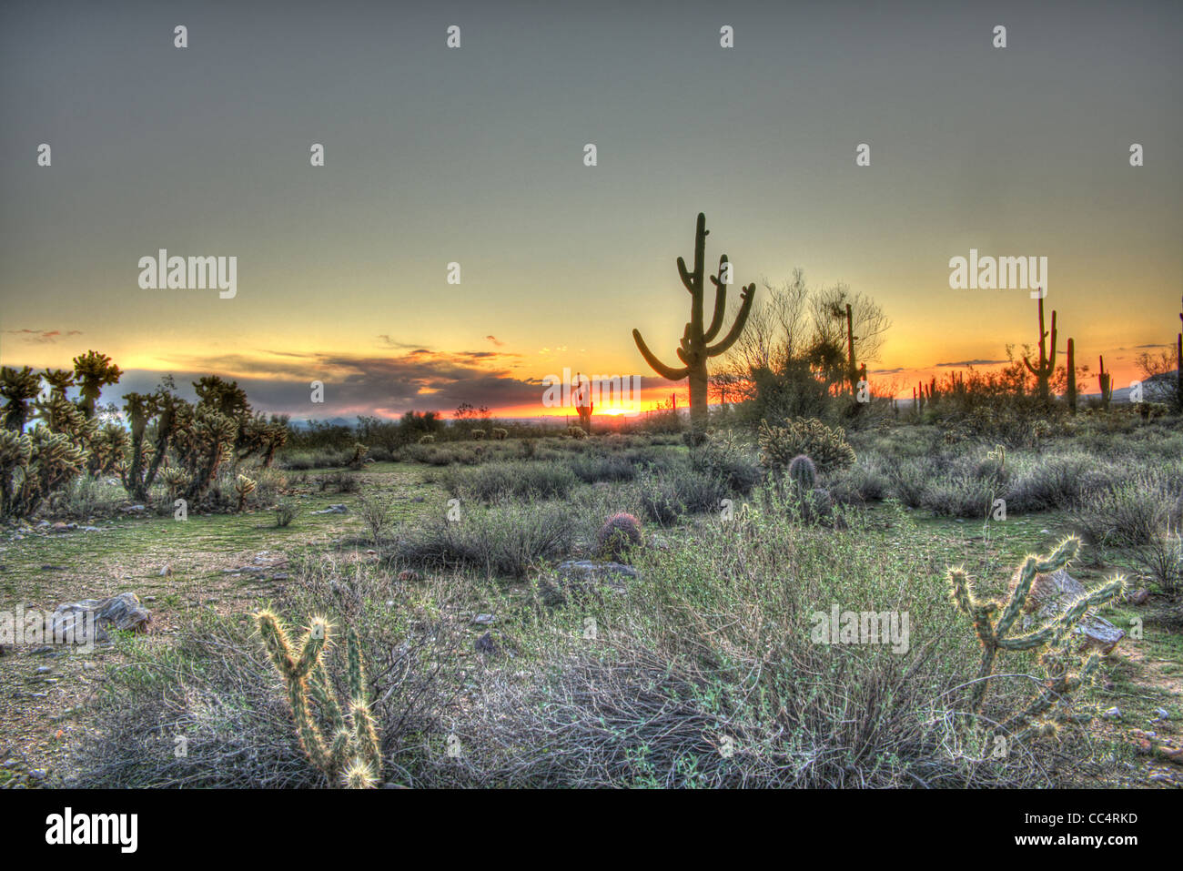 HDR-Bild von einem Wüsten Sonnenaufgang Stockfoto