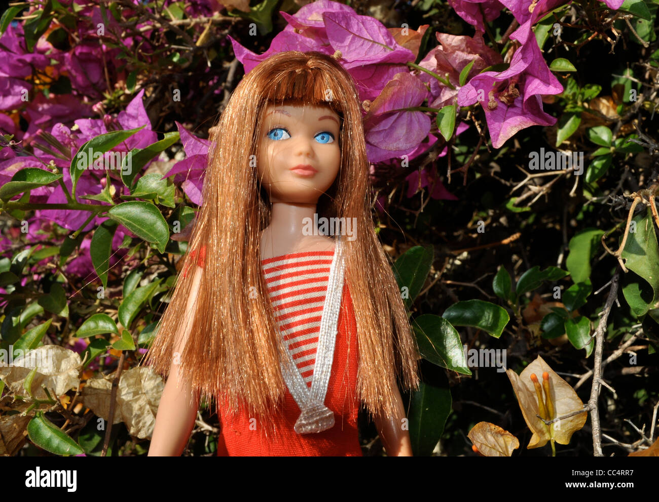 Vintage Farbe Magie Rothaarige Skipper Puppe, Baujahr 1964 als kleine  Schwester Teenager Barbie - seltene Haarfarbe Stockfotografie - Alamy