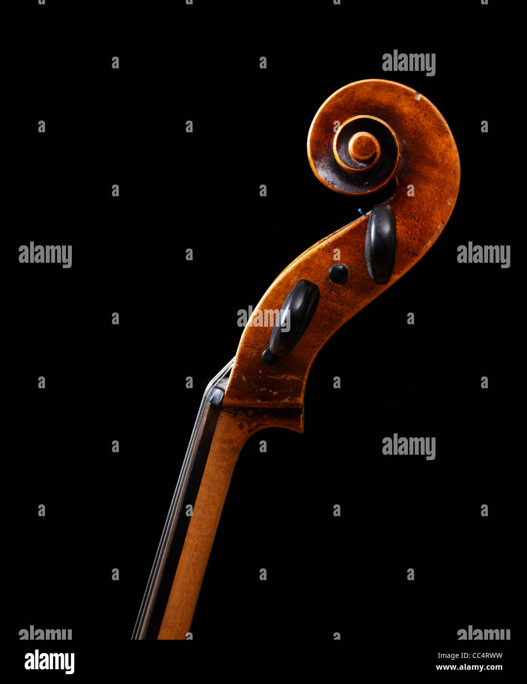 Leiter des Cello Stockfoto