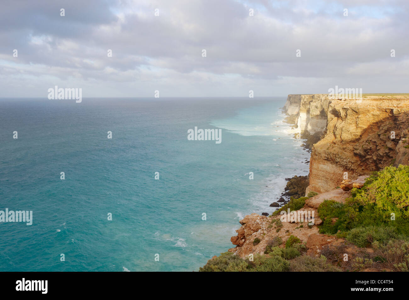 Erhöhten Blick auf Bunda Cliffs, Great Australian Bight Marine Park, South Australia, Australien Stockfoto