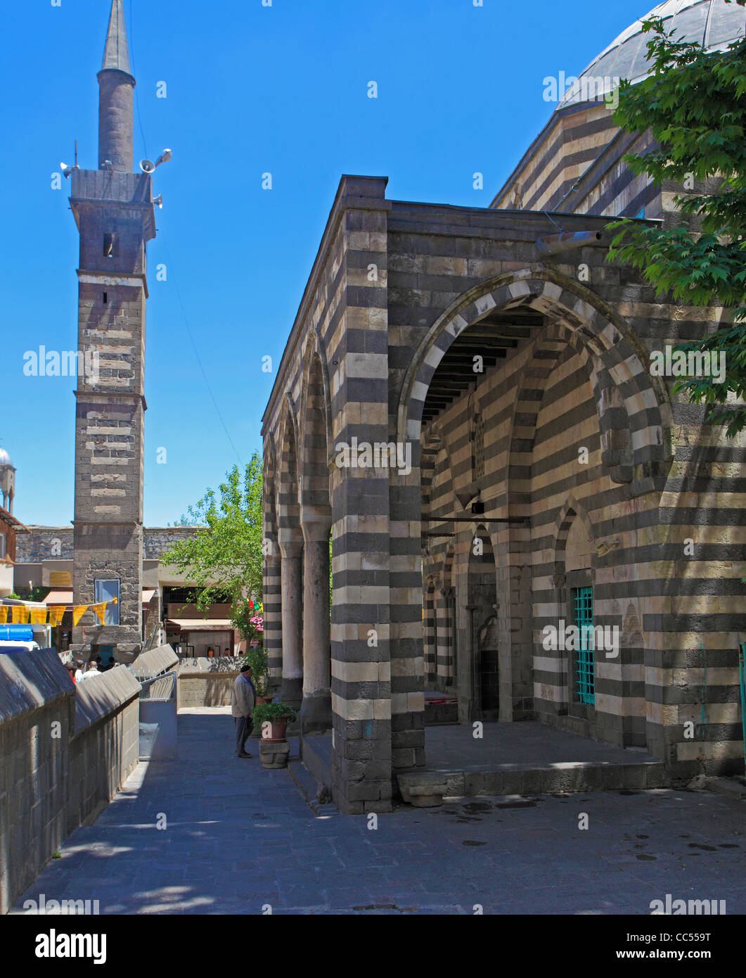 Türkei, Diyarbakir, Seyh Mutahhar Moschee, vier Beinen Minarett, Stockfoto