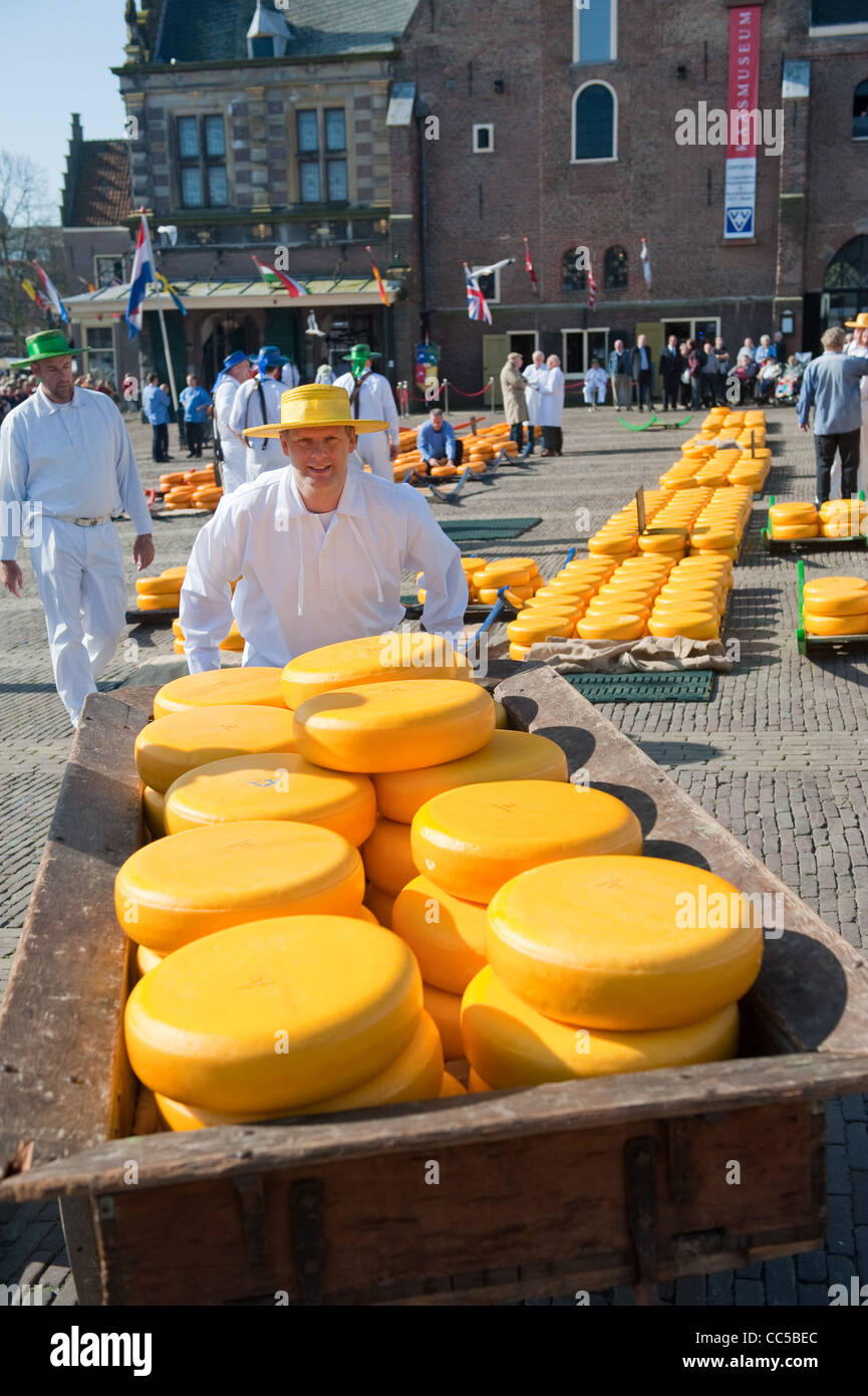 Karriere bei Alkmaar Käsemarkt Stockfoto