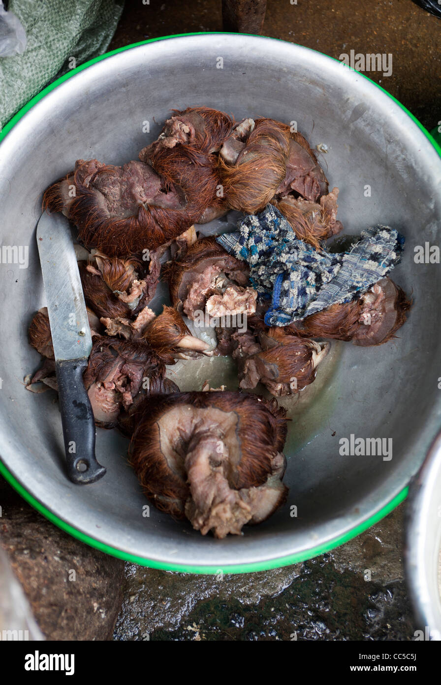 Ochse Füße zum Verkauf an zentralen Markt Dalat Stockfoto