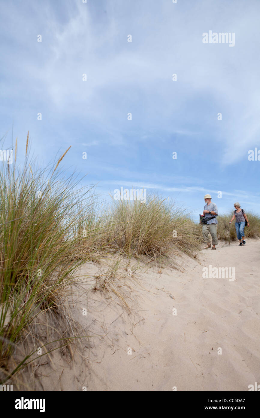 Sanddünen am Strand von Hayle, Cornwall, England. Stockfoto