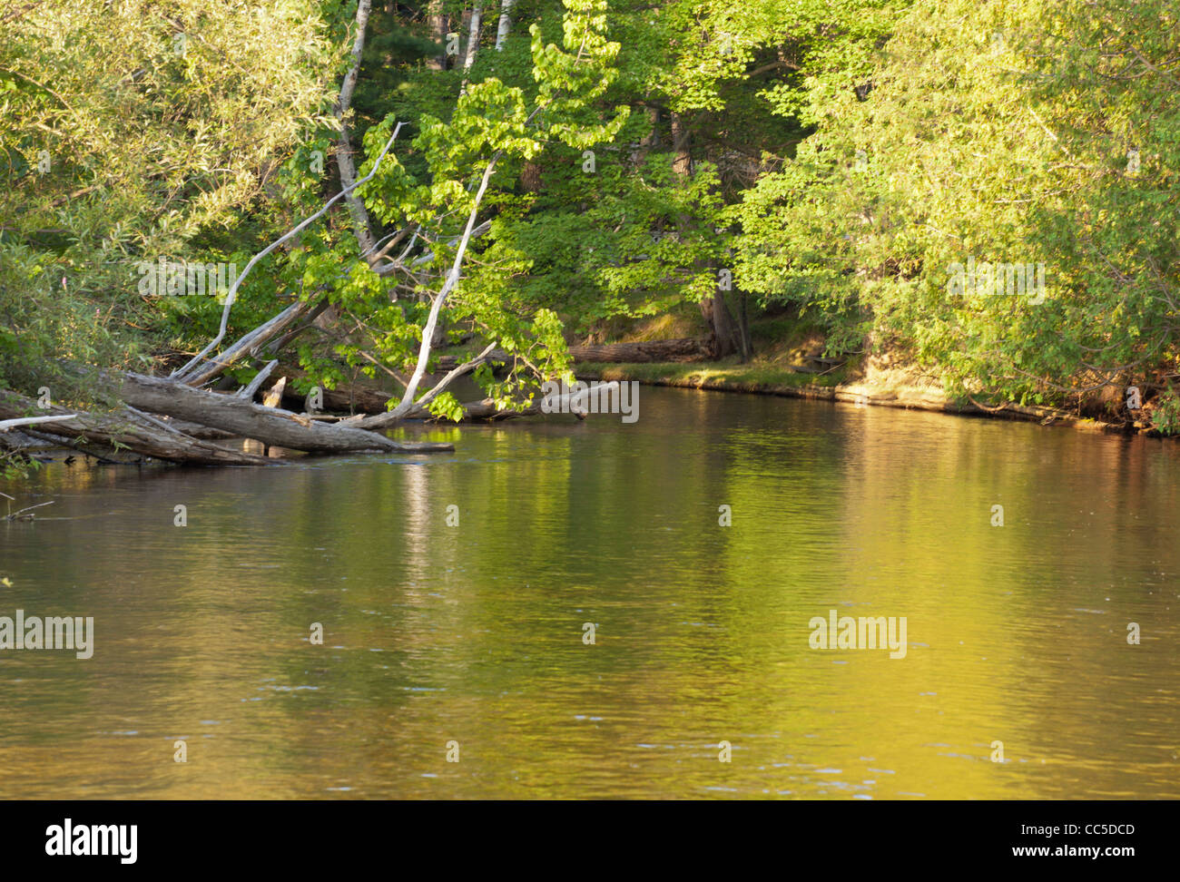 Au Sable River Grayling, Michigan Stockfoto