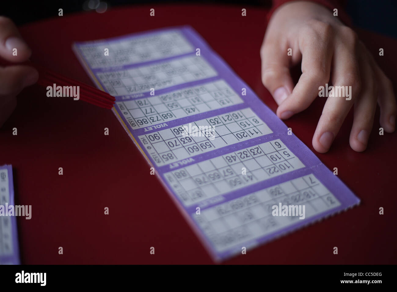 Bingo-Karte im Spiel in einem Ferienpark in Cornwall, Großbritannien. Stockfoto