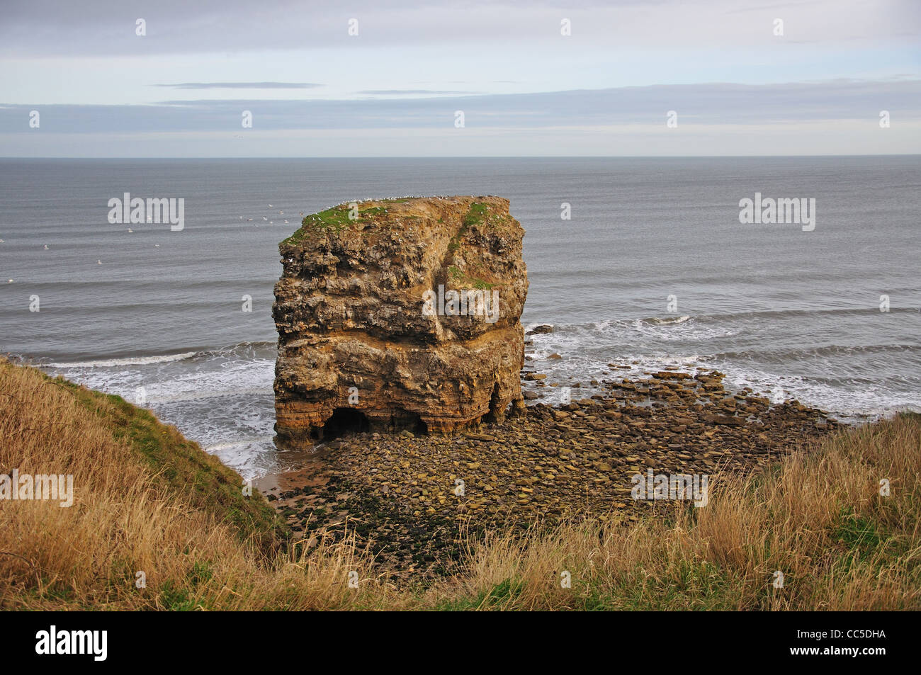 Marsden Rock, Marsden Bay, South Shields, Tyne and Wear, England, Vereinigtes Königreich Stockfoto