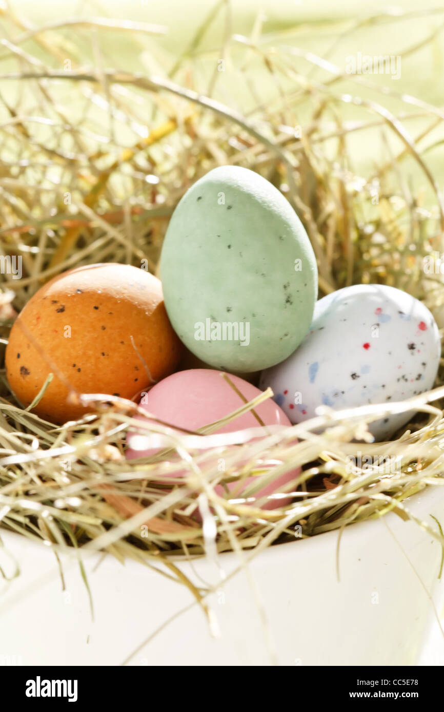 Schokolade von Ostereier im nest Stockfoto